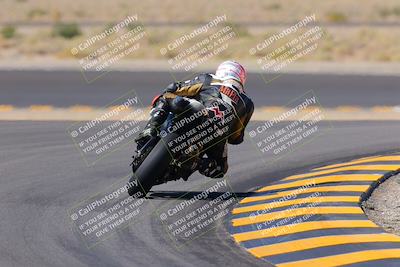 media/Oct-08-2022-SoCal Trackdays (Sat) [[1fc3beec89]]/Turn 11 Backside (1145am)/